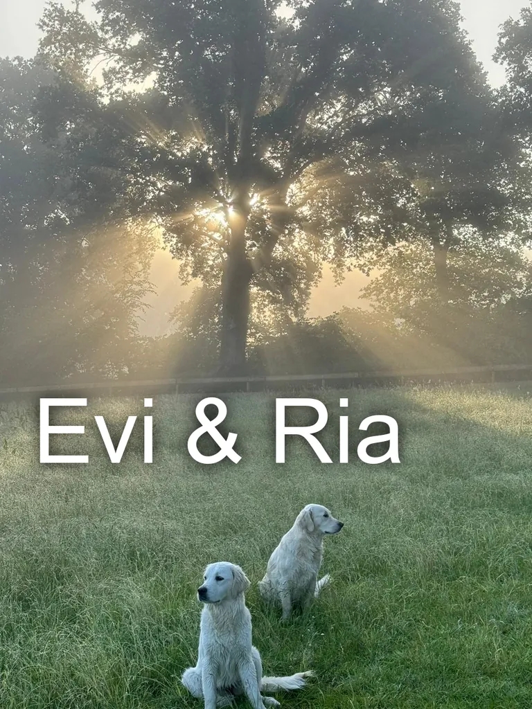 Hunde Evi & Ria